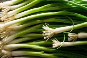 storing green onions