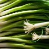 storing green onions