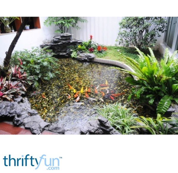 Controlling Algae in a Pond ThriftyFun