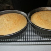 Baked Coconut Cake in pans