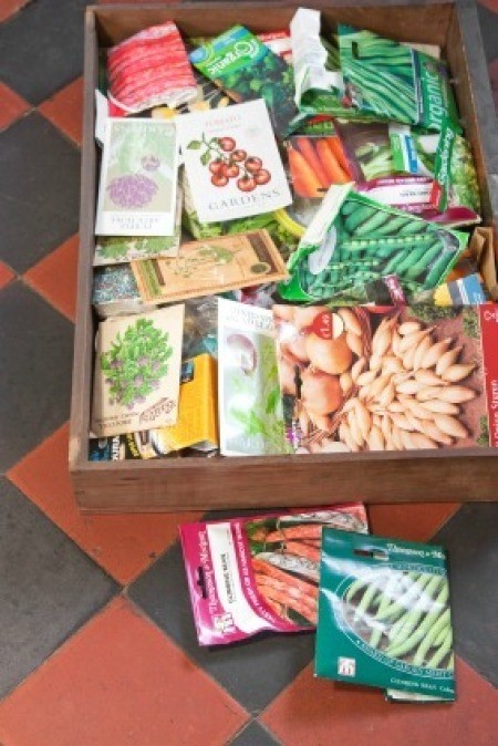 Seed Packages in a box