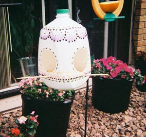 Milk Jug Birdfeeder