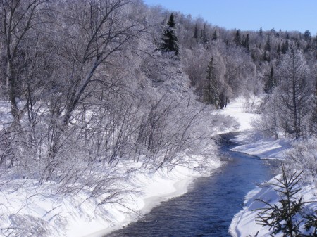 Crystal Trees and Snowy Banks along a Brilliant Blue River