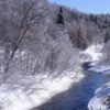 Crystal Trees and Snowy Banks along a Brilliant Blue River