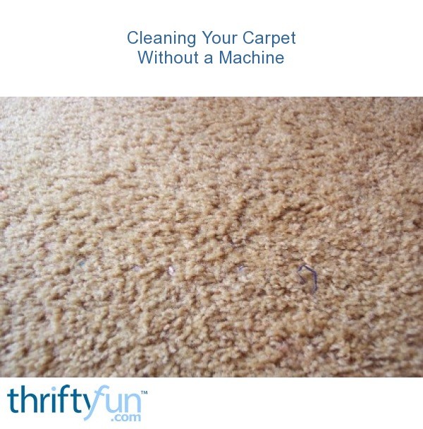 Cleaning Your Carpet Without a Machine | ThriftyFun