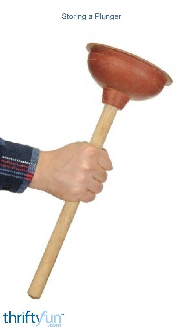 a plunger