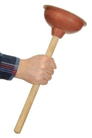 Man Holding Plunger