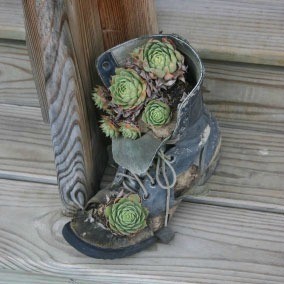 Making Shoe And Boot Planters Thriftyfun