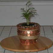 Penny covered flower pot