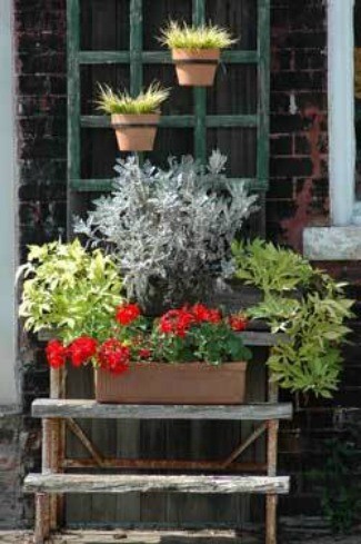 Patio Planter 1