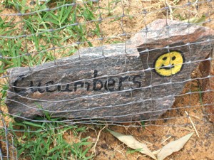 A rock painted as a garden marker.