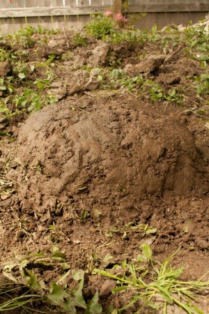 Mound of Dirt for Hypertufa Pot