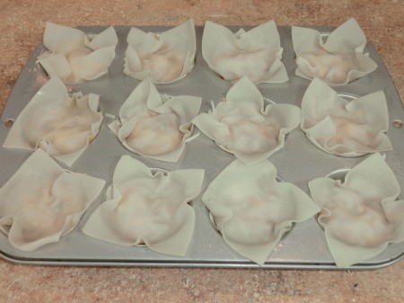 Second Wonton Wrapper