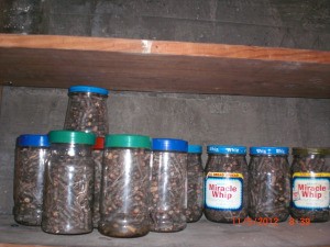 Packing Away Fuel For Emergencies - sticks in jars