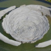 Concrete Yard Art