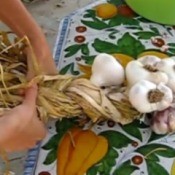 braiding garlic