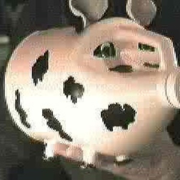 Bleach Bottle Piggy ThriftyFun