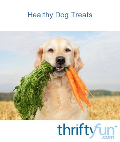 healthy pets