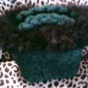 Green Felt Purse