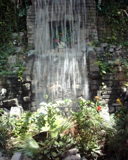 Waterfall in rainforest exhibit.