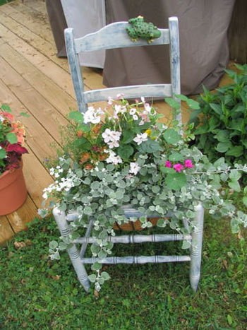 A chair planted with flowers