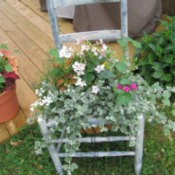 A chair planted with flowers