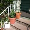 Container Garden on Stairs