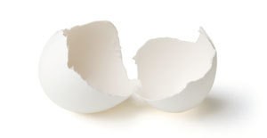 A clean empty eggshell in two pieces.