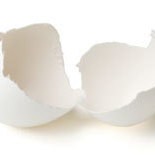 A clean empty eggshell in two pieces.