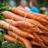 Freezing Carrots