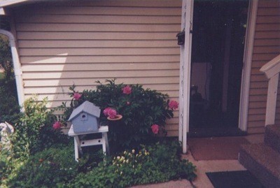 Pink peonies growing near a birdhouse next to a front door.