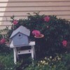 Pink peonies growing near a birdhouse next to a front door.