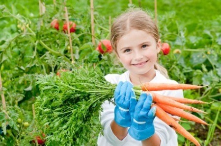 Child holding bunch of carrots