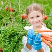 Child holding bunch of carrots