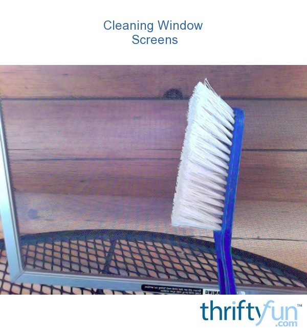cleaning window screens