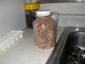 Storing Pinto Beans