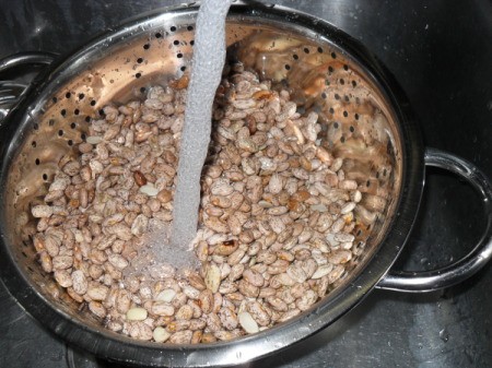 Cooking Pinto Beans
