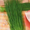 Preserving Fresh Chives