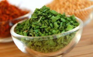 Drying Chives