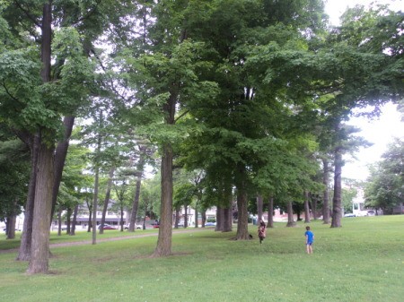 A Day in the Park (Brockville, Ontario)