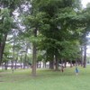 A Day in the Park (Brockville, Ontario)