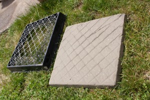 Mold and Concrete Stepping Stone