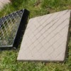 Mold and Concrete Stepping Stone