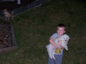 Cannoli (Bichon Frise) being held by a boy.