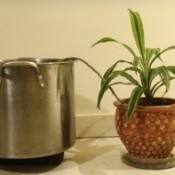 Wick Watering to Container Plant