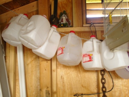 Milk jugs hanging in storage building.