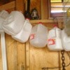 Milk jugs hanging in storage building.