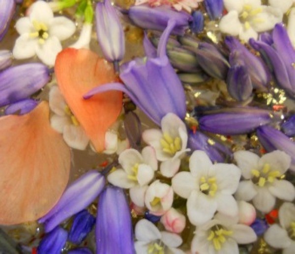 Closeup of floating flowers.