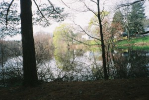 View from a bridge of the Charles.