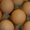 Brown eggs in a carton
